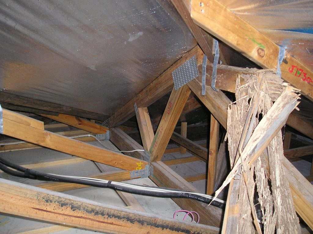 Termite damaged roof truss Cornell Engineers Forensic